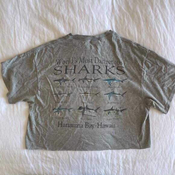 Cropped Hawaii T-Shirt (sz L) - Picture 4 of 6